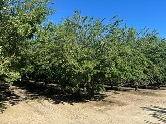 More details for E. side of S Chestnut N. of .E Mountain View ave, Selma, CA - Land for Sale