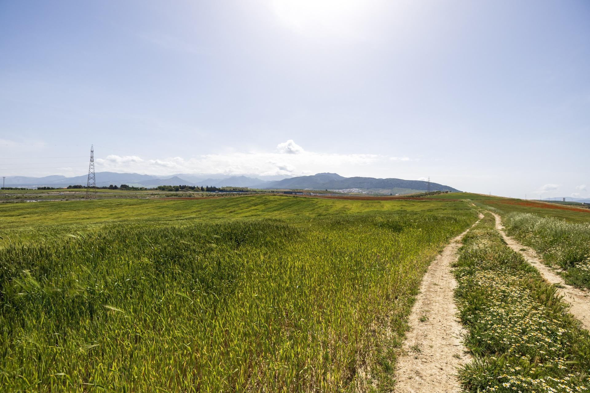 Land in Granada for sale Aerial- Image 1 of 24