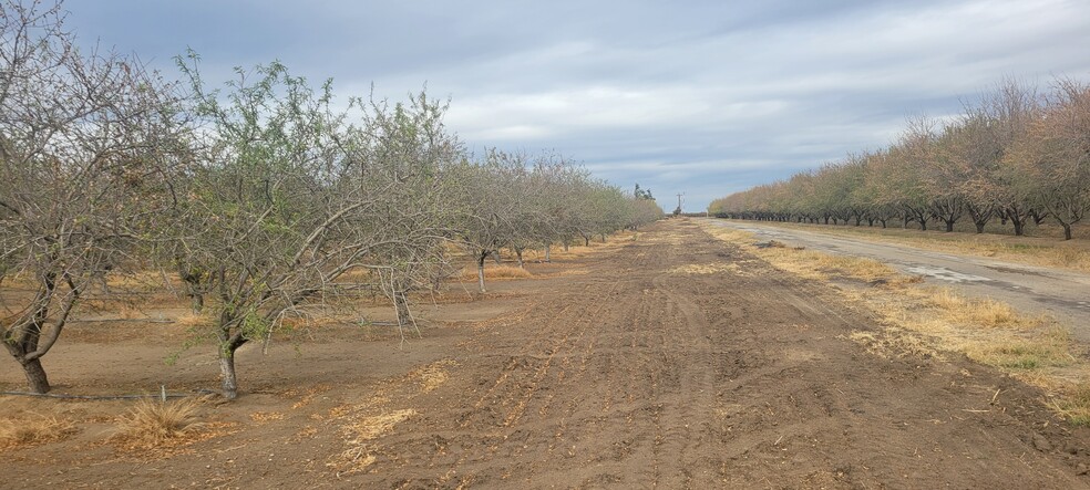 S. side of Jensen W. of S. Lake Ave. ave, Kerman, CA for sale - Building Photo - Image 2 of 3