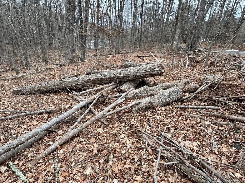 439 Washington Rd, Woodbury, CT à vendre - Photo du bâtiment - Image 3 de 34