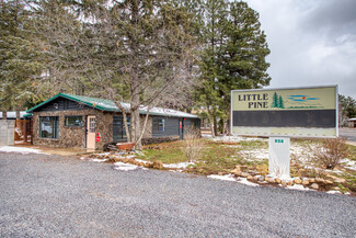 More details for 858 E White Mountain Blvd, Pinetop, AZ - Hospitality for Sale