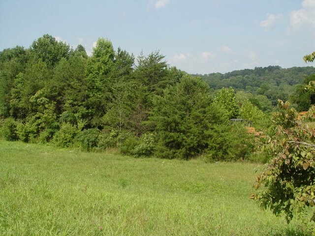 Bull Dog Dr, Murphy, NC à vendre - Photo du bâtiment - Image 3 de 8