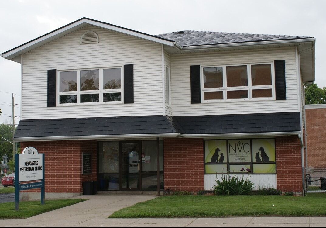 108 King Ave W, Clarington, ON for sale Building Photo- Image 1 of 1