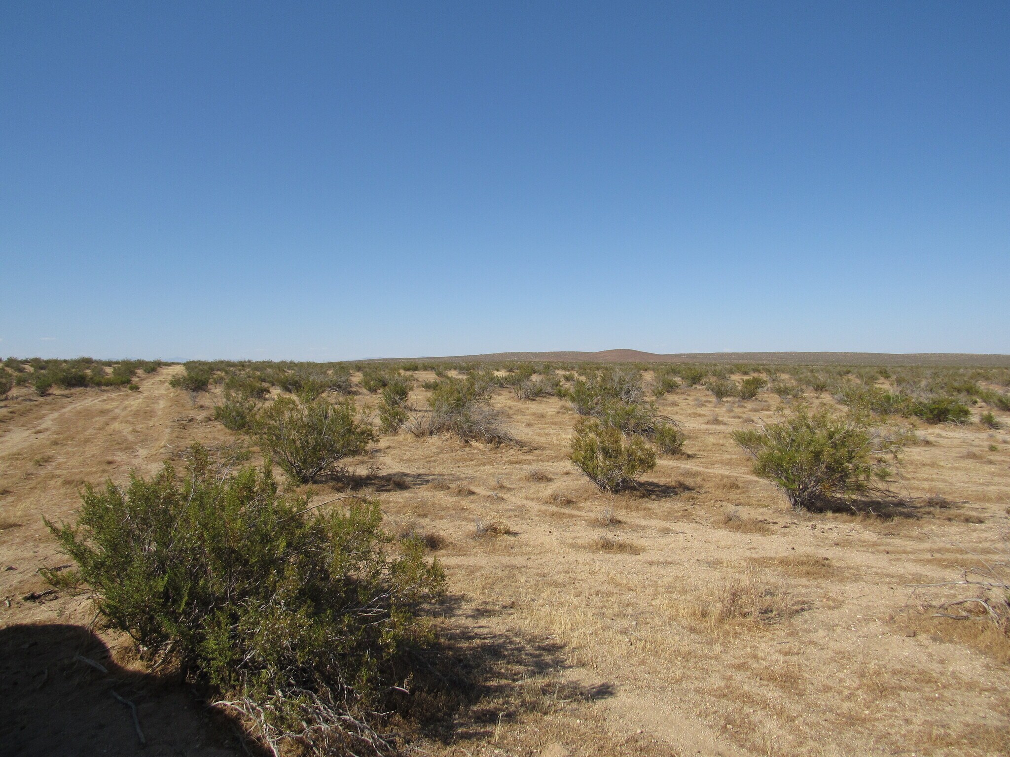 234-532-10-00-2 94th St, California City, CA for sale Primary Photo- Image 1 of 12