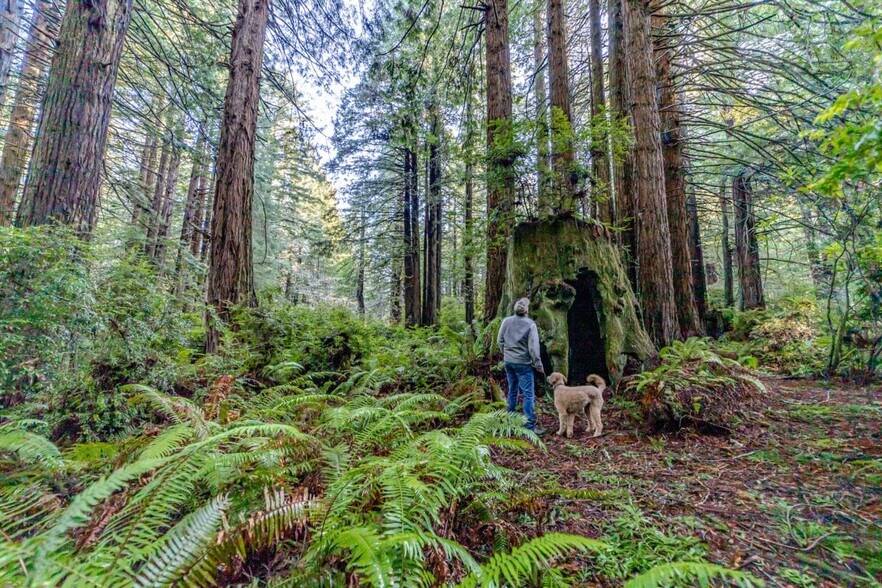 1155 Patricks Point, Trinidad, CA à vendre - Photo du bâtiment - Image 2 de 6