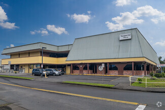 More details for 88 Kanoelehua Ave, Hilo, HI - Office for Lease