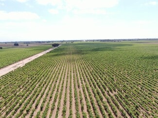 Plus de détails pour 20271 N Devries Rd, Lodi, CA - Terrain à vendre