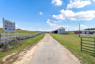 More details for 1265 John Lansden rd, Nebo, KY - Land for Sale