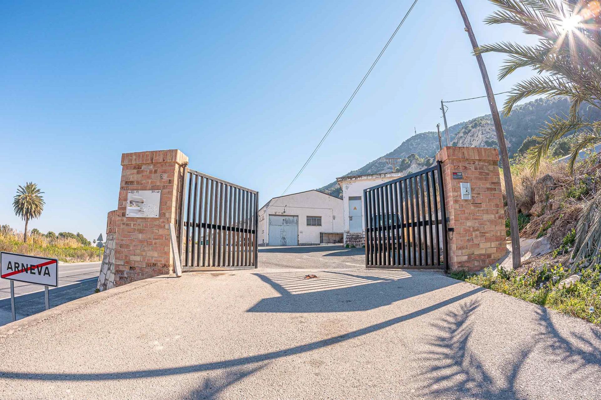 Industrial in Orihuela for lease Building Photo- Image 1 of 42