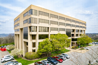 More details for 750 Holiday Dr, Pittsburgh, PA - Office for Lease