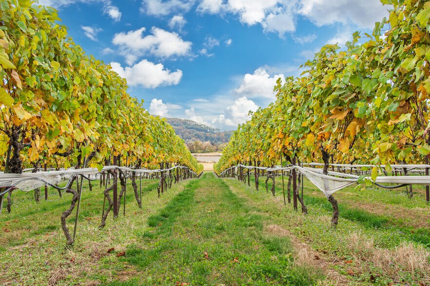 33 County Road 627, Phillipsburg, NJ à vendre - Photo principale - Image 3 de 44