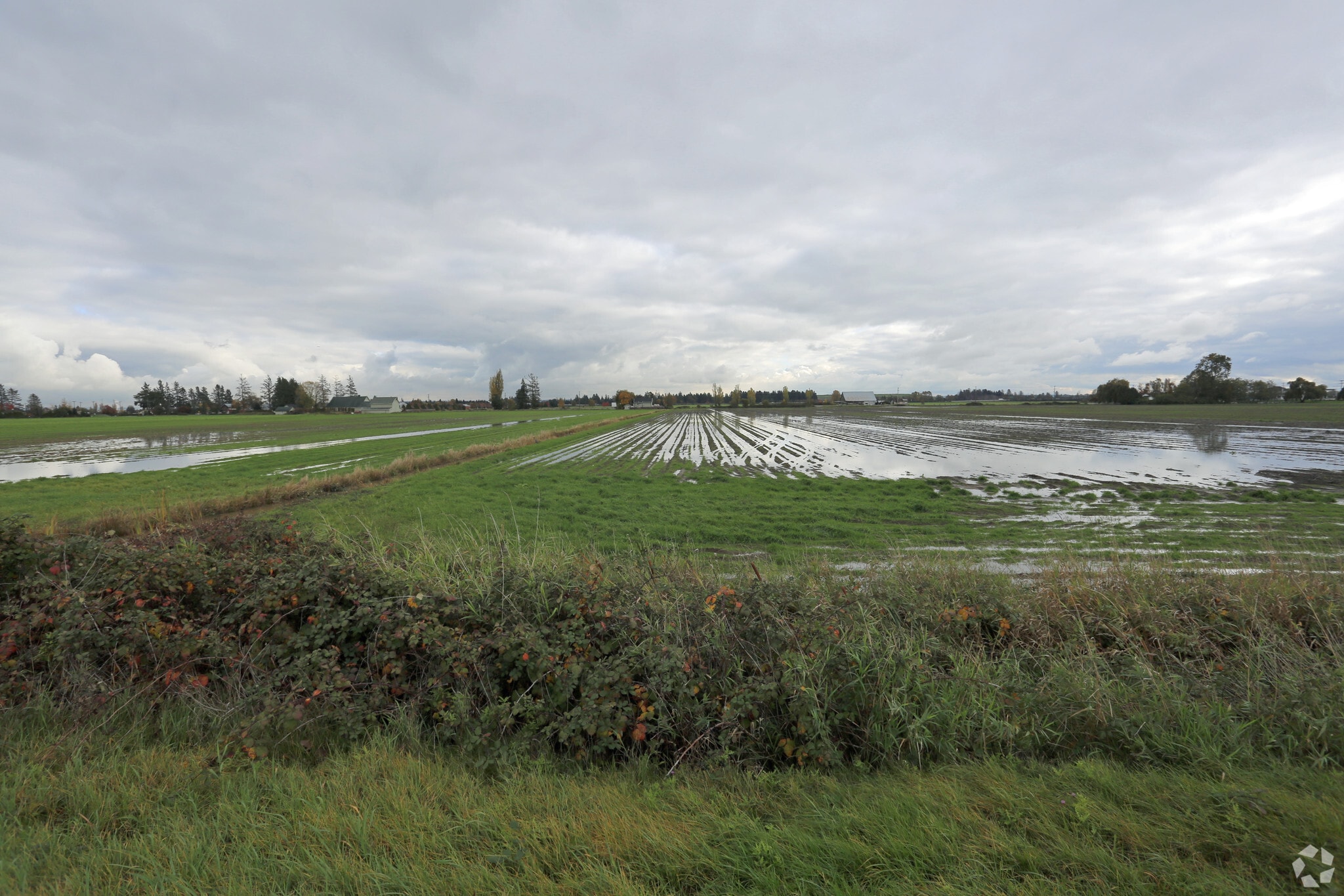 5905 64th St, Delta, BC for sale Building Photo- Image 1 of 1