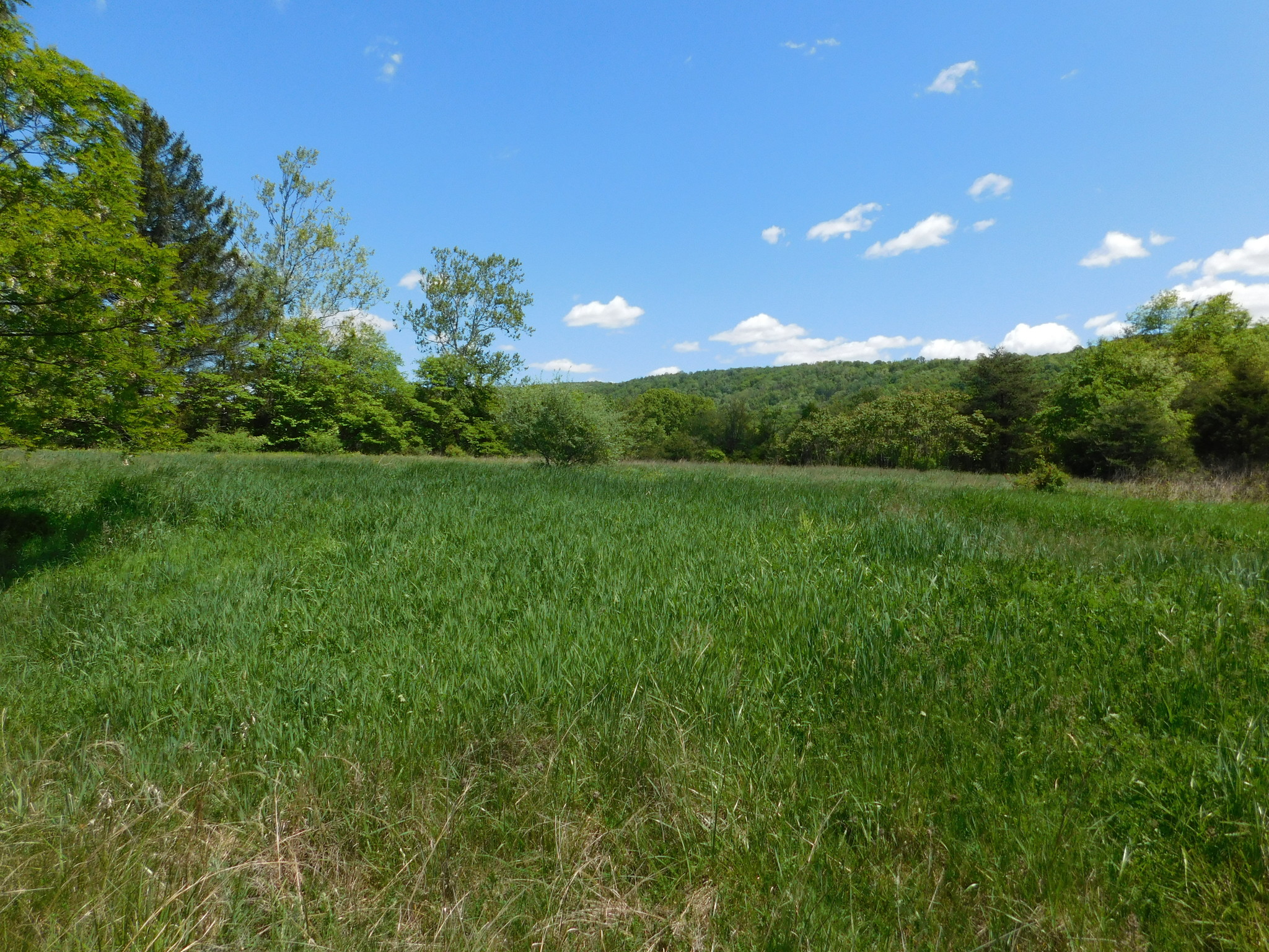 Oldtown Rd SE, Cumberland, MD for sale Other- Image 1 of 1