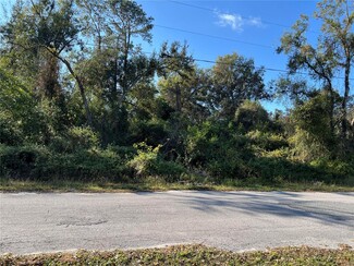 Plus de détails pour County Road 690, Webster, FL - Terrain à vendre