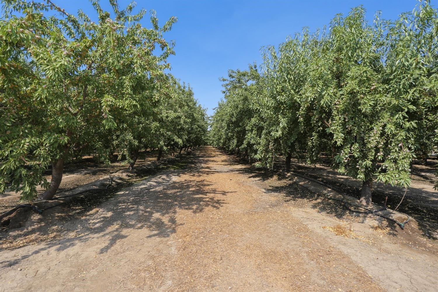 7205 Mariposa Way, Merced, CA for sale Building Photo- Image 1 of 1