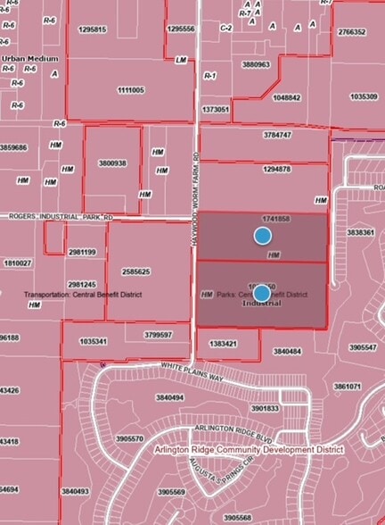 Haywood Worm Farm Road, Leesburg, FL for sale - Other - Image 3 of 9