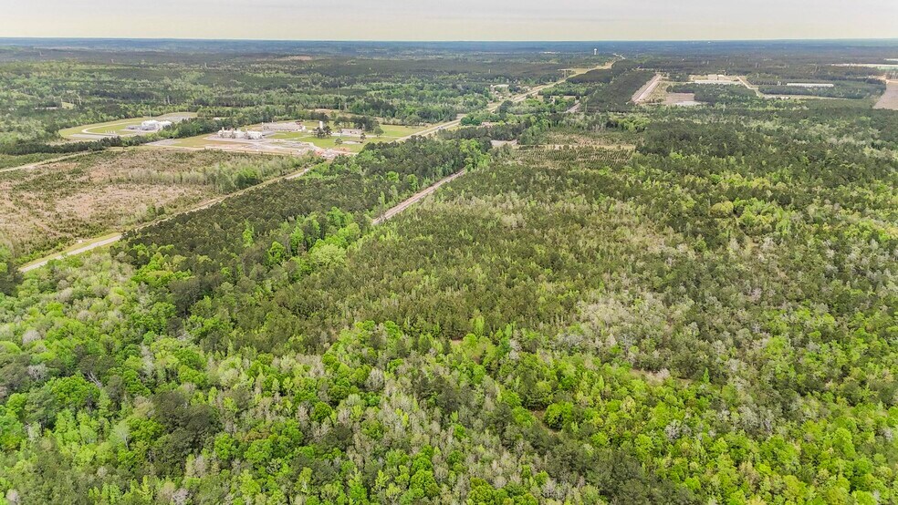 0 US Highway 43 N., Mount Vernon, AL for sale - Building Photo - Image 3 of 11