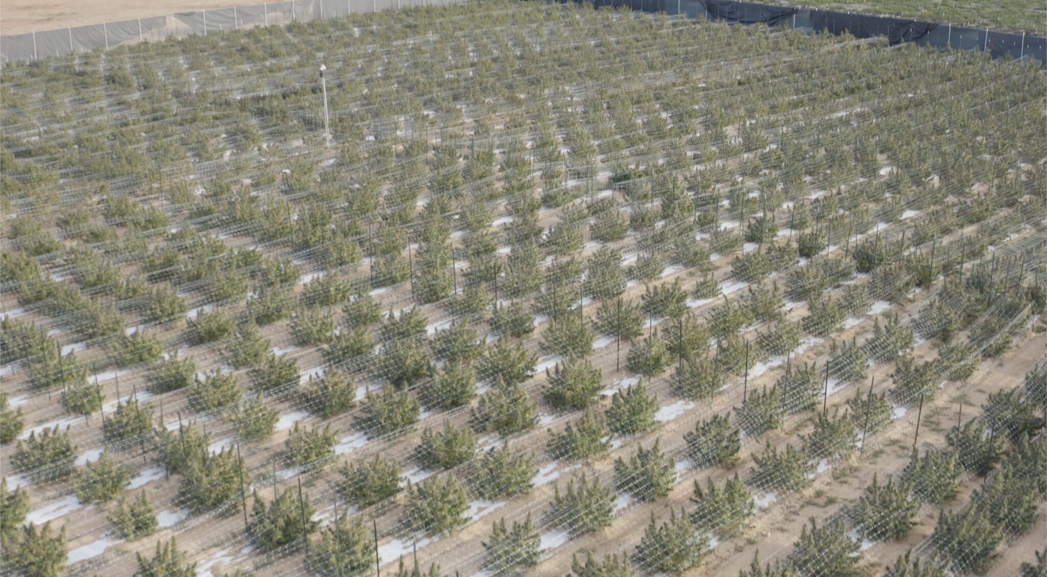 8162 Maverick Ln, Ordway, CO for sale Building Photo- Image 1 of 17