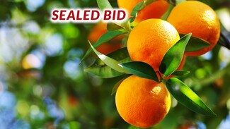 More details for 19716 E Trimmer Springs Rd, Sanger, CA - Land for Sale