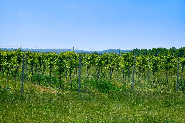 Plus de détails pour 497 Line 5 Rd, Niagara-On-The-Lake, ON - Terrain à vendre