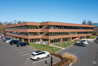 More details for 1 Hollow Ln, Lake Success, NY - Office/Medical for Lease