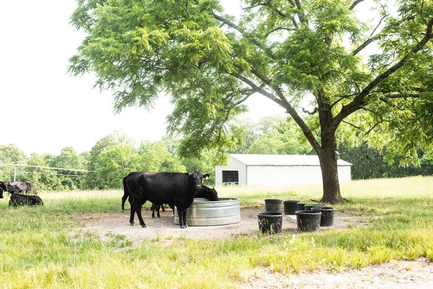 17551 Longview Rd, Elk Creek, MO for sale - Building Photo - Image 3 of 21