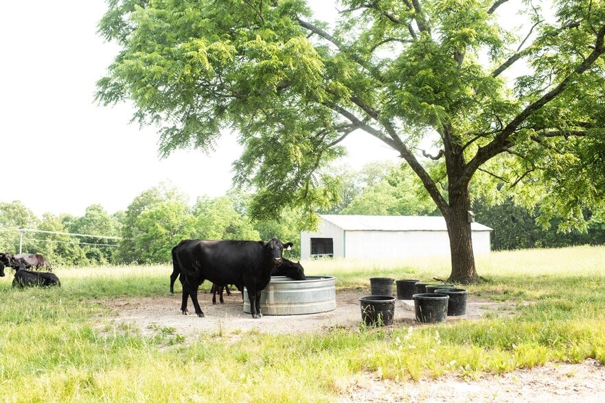 17551 Longview Rd, Elk Creek, MO à vendre - Photo du bâtiment - Image 3 de 21