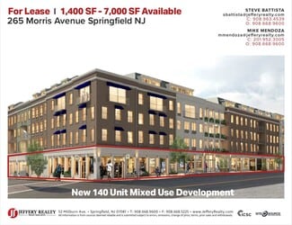 Plus de détails pour 265 Morris Ave, Springfield, NJ - Bureau/Commerce de détail à louer