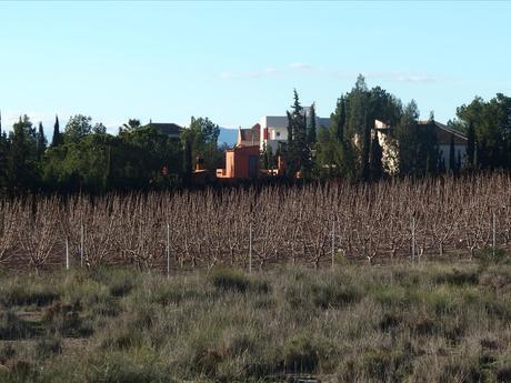 Terrain dans Molina de Segura, Murcia à vendre - Aérien - Image 1 de 4
