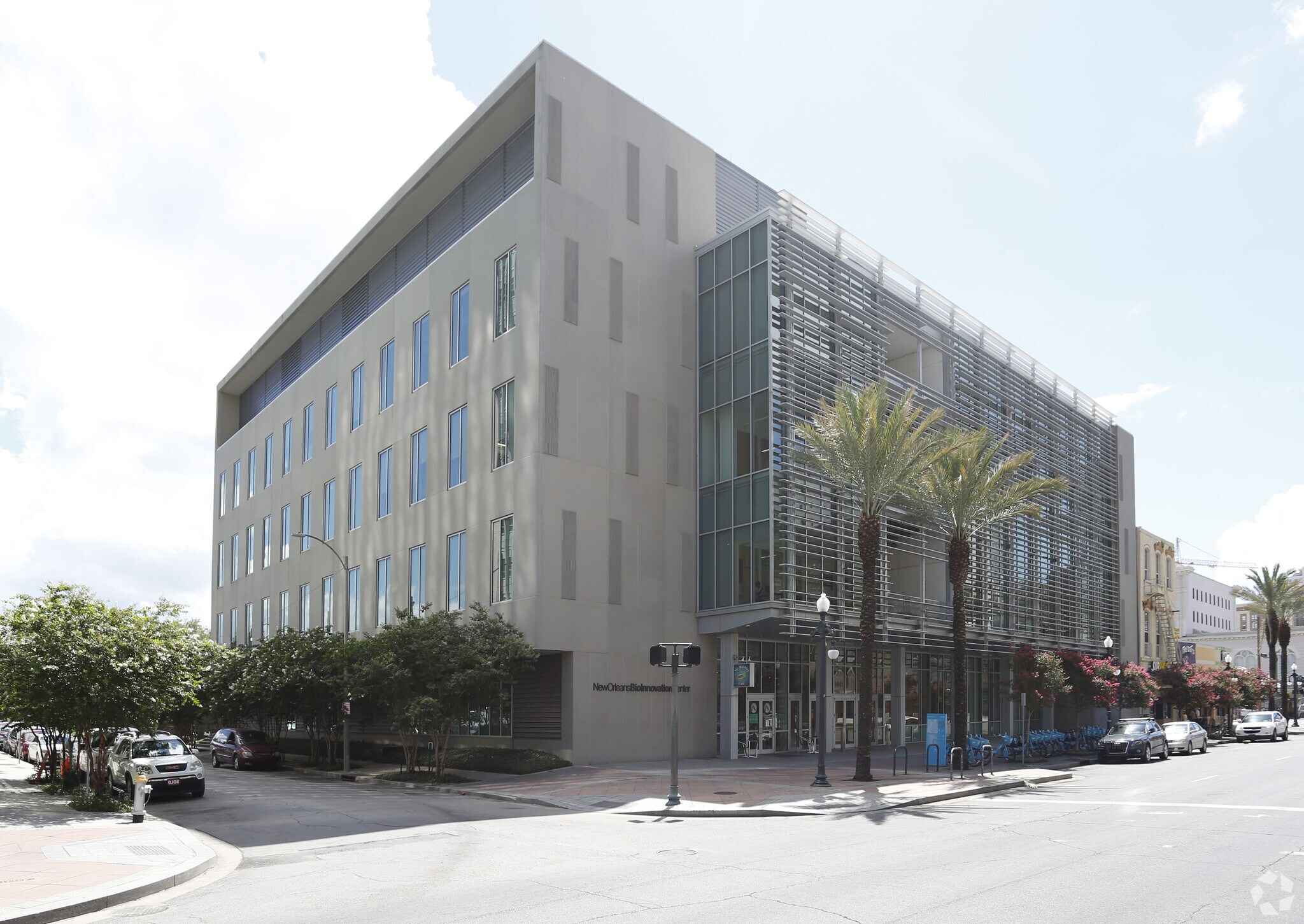 1441 Canal St, New Orleans, LA for lease Primary Photo- Image 1 of 8