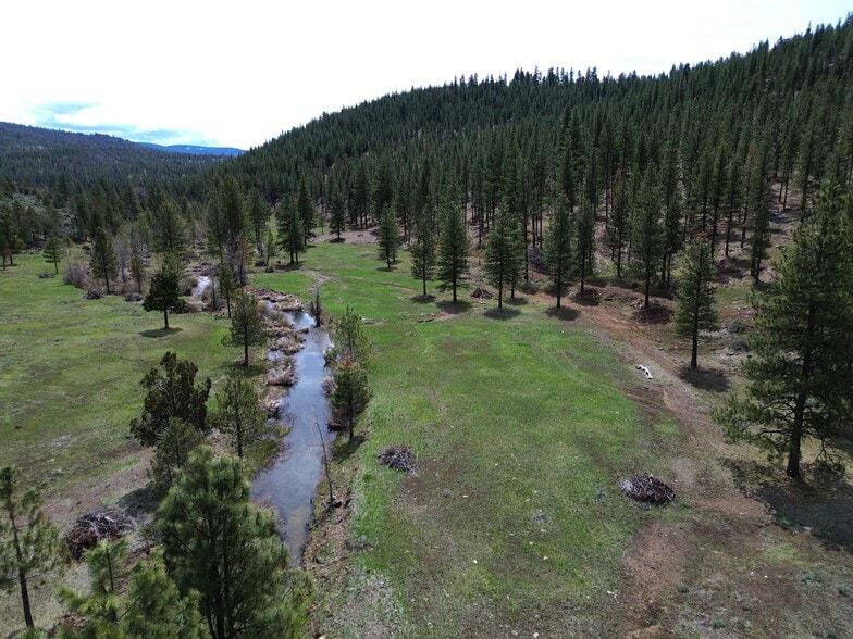 000 Roney Flat Road, Adin, CA à vendre - Photo du bâtiment - Image 1 de 17