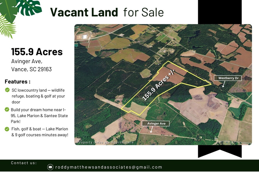 0 155.9 ac Westberry Dr, Vance, SC for sale - Primary Photo - Image 1 of 22