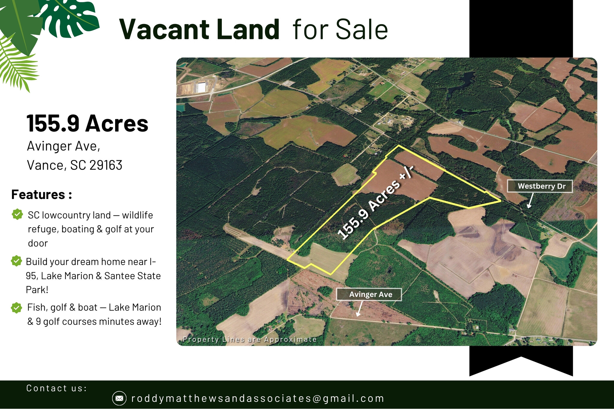 0 155.9 ac Westberry Dr, Vance, SC for sale Primary Photo- Image 1 of 23