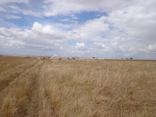 Terrain dans Cáceres, Cáceres à vendre Aérien- Image 1 de 3