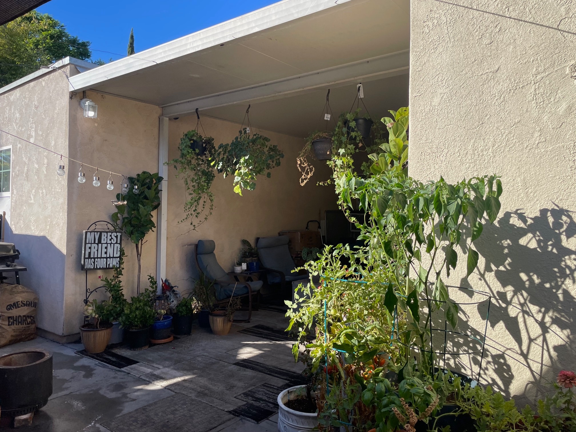 9143 Campo Rd, Spring Valley, CA for sale Primary Photo- Image 1 of 24