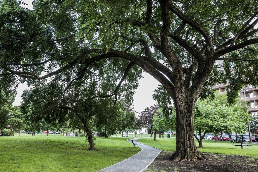 3601 Wilson Blvd, Arlington, VA à louer - Photo du bâtiment - Image 2 de 13