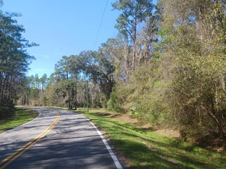 More details for Dover Bluff Road, Waverly, GA - Land for Sale