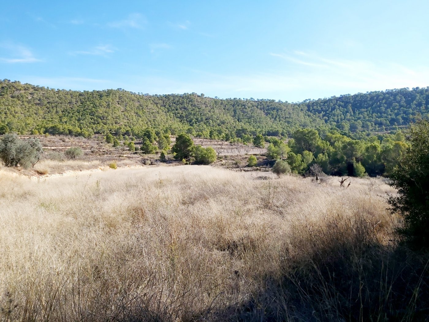 Terrain dans La Romana, Alicante à vendre Aérien- Image 1 de 4