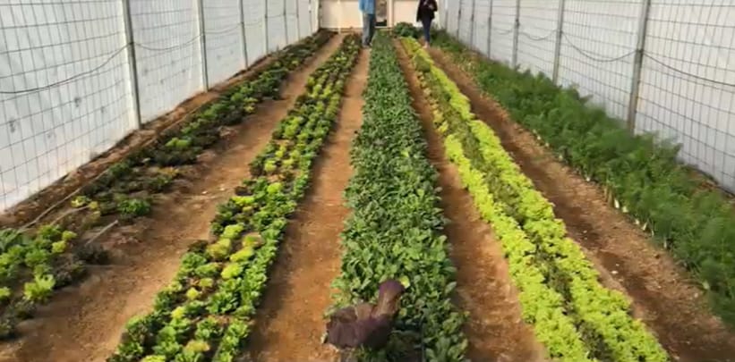 691 Desert Trail Way, Tecopa, CA à vendre - Photo du bâtiment - Image 1 de 62