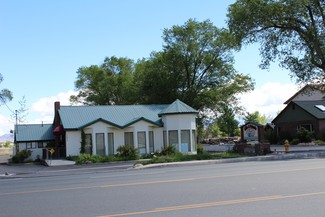 More details for 1671 US Highway 395 N, Minden, NV - Office/Retail for Lease