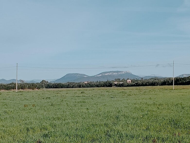 Land in Campos, Islas Baleares for sale - Building Photo - Image 2 of 11