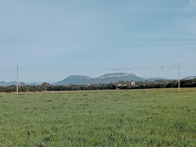 Land in Campos, Islas Baleares for sale - Primary Photo - Image 2 of 11