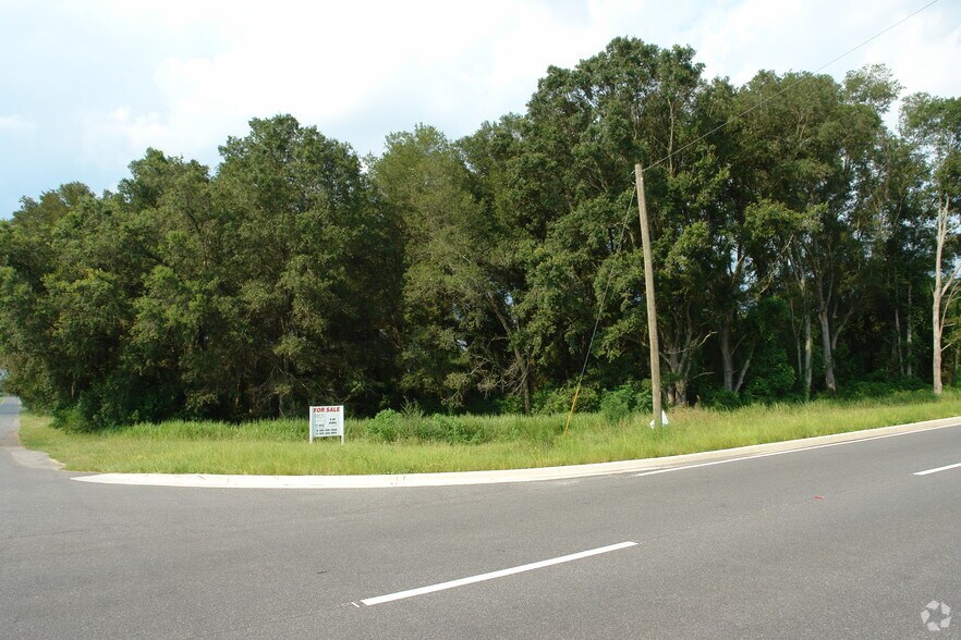 0 Highway 42, Summerfield, FL à vendre - Photo du bâtiment - Image 3 de 3