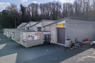 Plus de détails pour Mucklow Hl, Halesowen - Industriel à louer