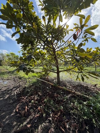 Plus de détails pour 16455 SW 207th Ave, Miami, FL - Terrain à vendre