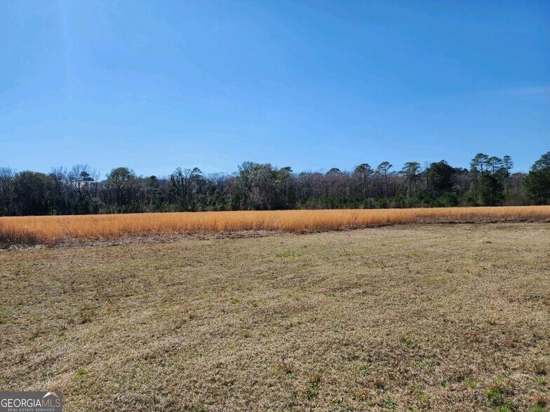 3251 Eldora & Roberts rd, Ellabell, GA à vendre - Photo du bâtiment - Image 3 de 7