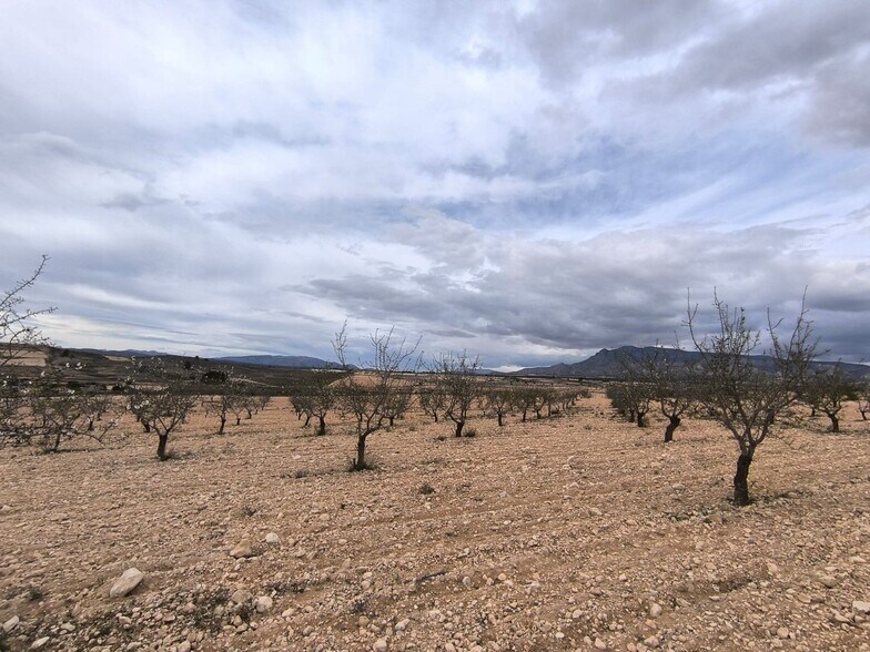 Terrain dans Yecla, Murcia à vendre - Aérien - Image 3 de 4