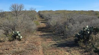 More details for 00 County Road 7563, Devine, TX - Land for Sale