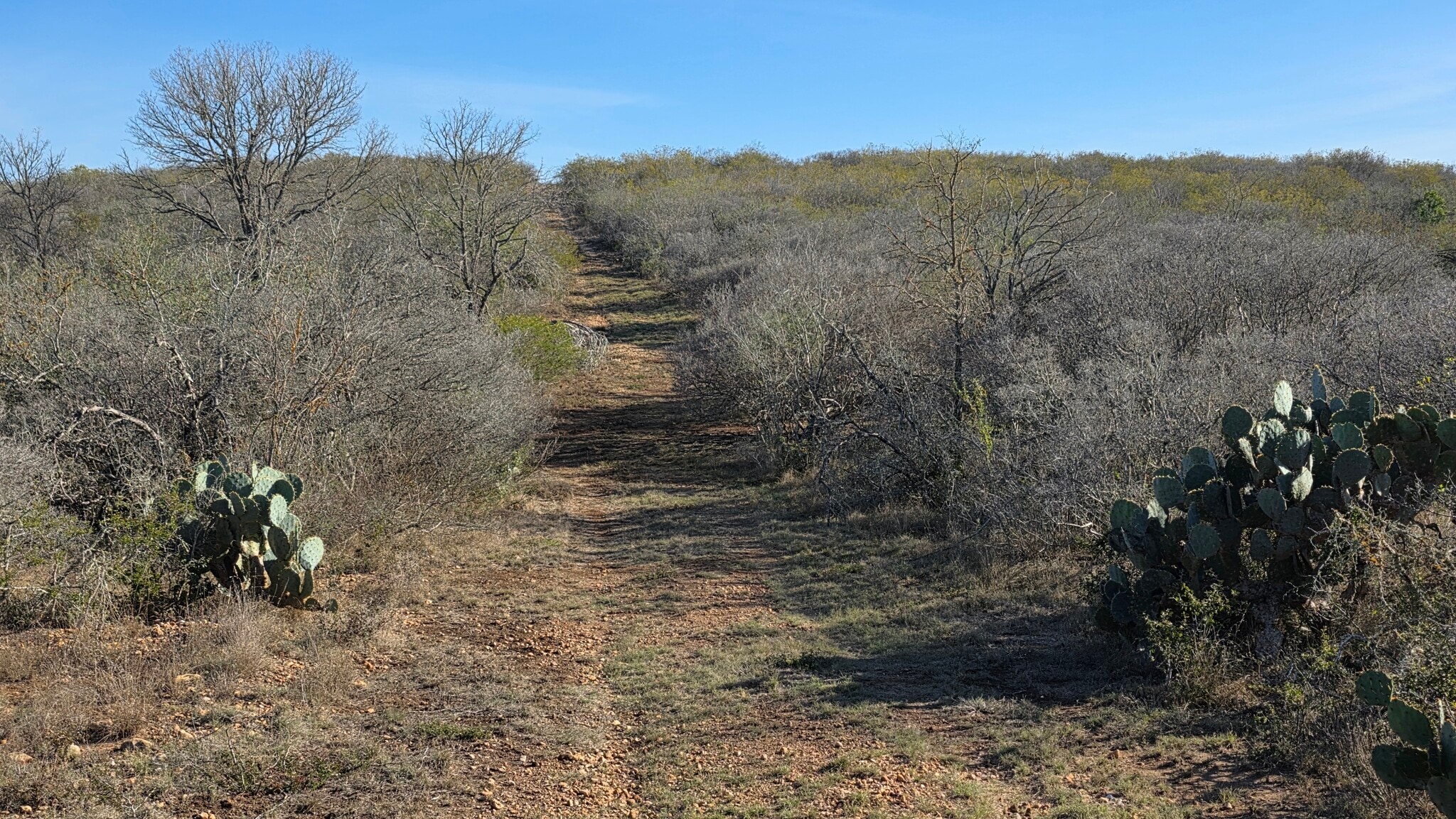 00 County Road 7563, Devine, TX for sale Building Photo- Image 1 of 27