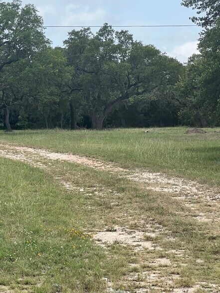 1917 Main Street, Blanco, TX à vendre - Photo du bâtiment - Image 3 de 18